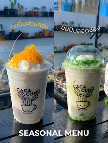 Cac & Cup - เมือง
