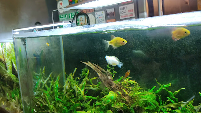 Boon Coffee:Nakhonsawan - การบริการอาหารและที่พัก