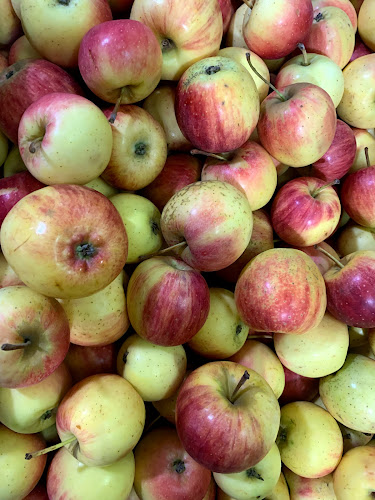 Opinii despre ร้านผลไม้นำชัยพัทยา în อำเภอบางละมุง - การบริการอาหารและที่พัก