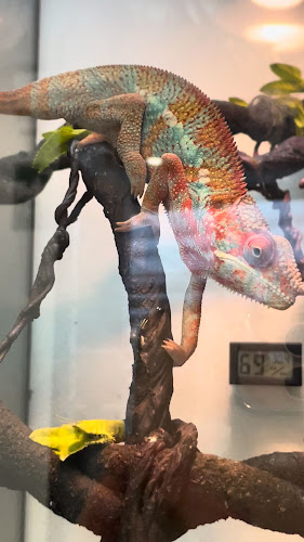 Tang Toh - การบริการอาหารและที่พัก