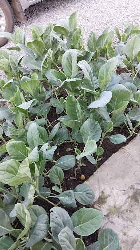 ป้าน้อย อาหารตามสั่ง