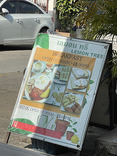 Comentarii opinii despre Lemon Tree