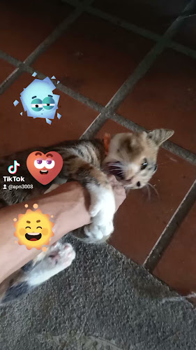 โรงหรอย หาดใหญ่ - อำเภอหาดใหญ่