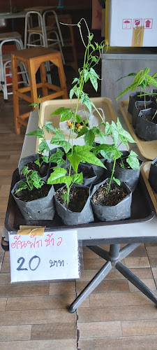 Comentarii opinii despre ร้านมังสวิรัติ นครราชสีมา