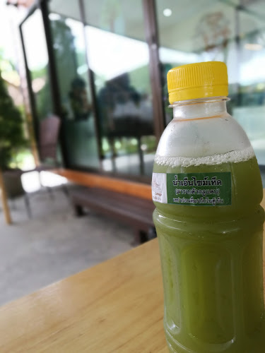 TREE&TEA - อำเภอบางบัวทอง