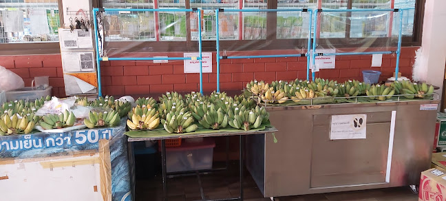 ร้านมังสวิรัติ นครราชสีมา