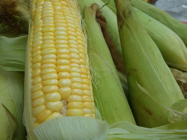 Opinii despre FIN Market : ตลาดรื่นรมย์ în อำเภอหาดใหญ่ - การบริการอาหารและที่พัก