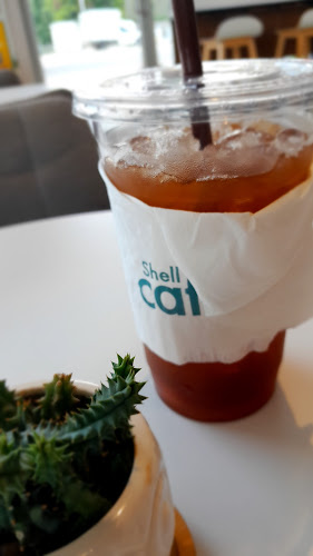 เดลี่คาเฟ่ ปั๊มเชลล์พะเยา - เมือง