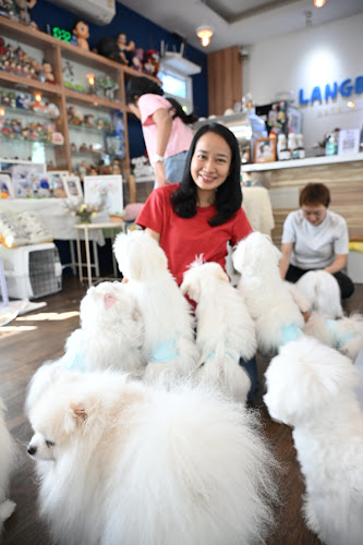 ถนนเลี่ยงเมืองปากเกร็ด ตำบลบางตลาด อำเภอปากเกร็ด นนทบุรี 11120