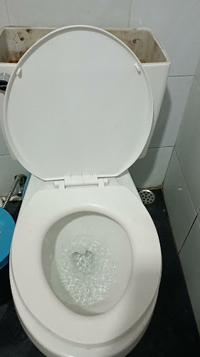 Nut's Restaurant at Golden Monkey Hotel and Bar