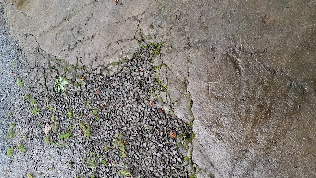 ร้านกาแฟสดโรบัสต้า