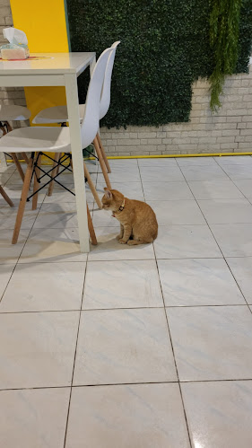 Food station - การบริการอาหารและที่พัก