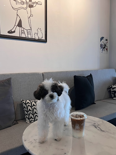 Comentarii opinii despre Dreamilycoffeebar