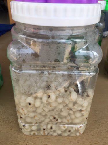 Today น้ำแข็งใส - อำเภอเมืองภูเก็ต