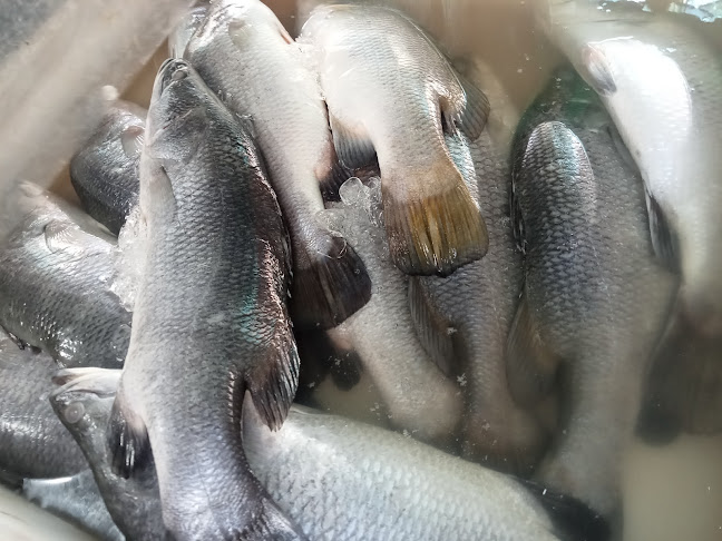 Opinii despre เจ้ย้อย อาหารทะเลสด în อำเภอศรีราชา - การบริการอาหารและที่พัก