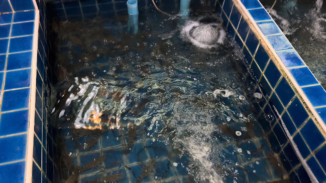 หมู่ที่ 6 15/15 ตําบล ถนน พัทยา สาย 3 อำเภอบางละมุง ชลบุรี 20150