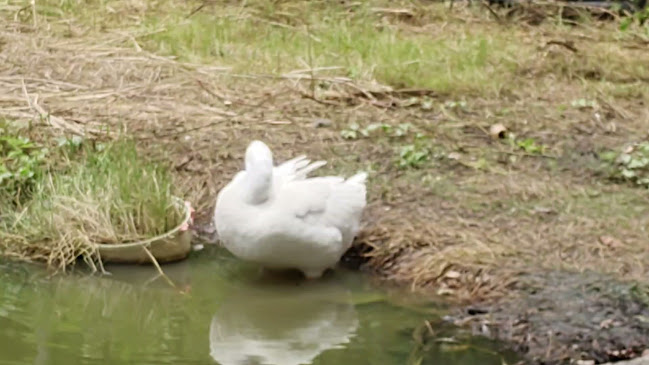 60 ถนน รังสิต-นครนายก 30 ตำบล ประชาธิปัตย์ อำเภอธัญบุรี ปทุมธานี 12130