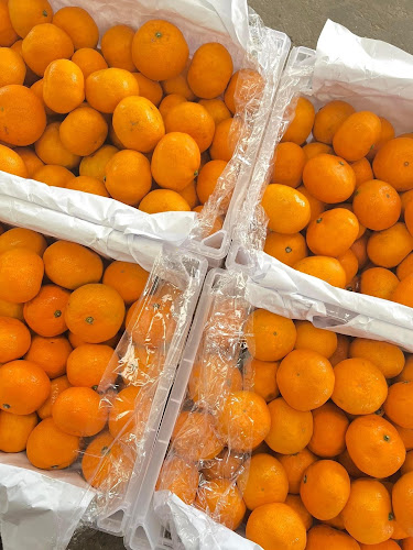 ร้าน คุณโบว์ ผลไม้ - การบริการอาหารและที่พัก