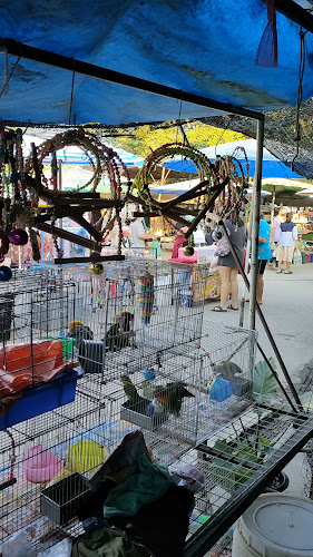 Opinii despre ตลาดประชารัฐ ค่ายจิรประวัติ în อำเภอเมืองนครสวรรค์ - การบริการอาหารและที่พัก