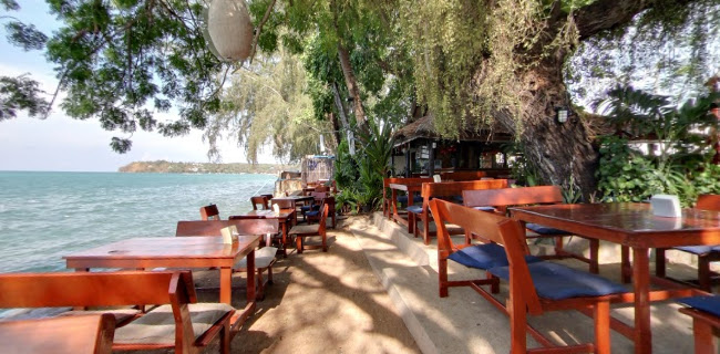 นิกิต้า