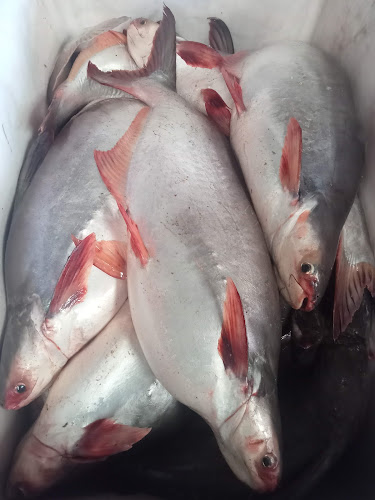 ร้านพี่รงค์พี่บอน ปลาสด ตลาดสดเทศบาล สุราษฎร์ธานี - การบริการอาหารและที่พัก