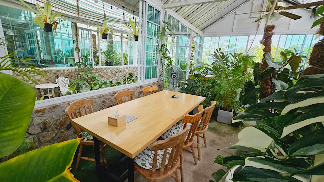 Ma Cheminee tree & coffee house