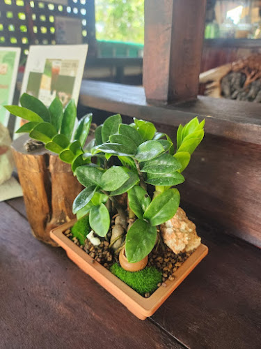 Forever Cafe หาดใหญ่ อำเภอหาดใหญ่ สงขลา 90110