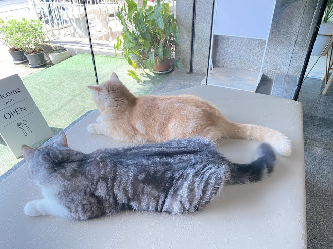 HYPER CAFE - อำเภอเมืองพิษณุโลก