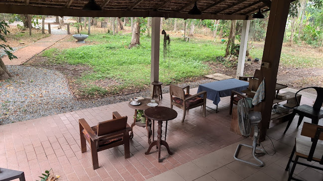 Comentarii opinii despre Happy Bird’s Day