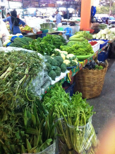 ดารีนผักสด1/ผักสดพัทยา