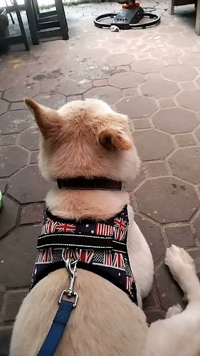 109/59-60 ซ ซอย แจ้งวัฒนะ-ปากเกร็ด 14 ต อำเภอปากเกร็ด นนทบุรี 11120