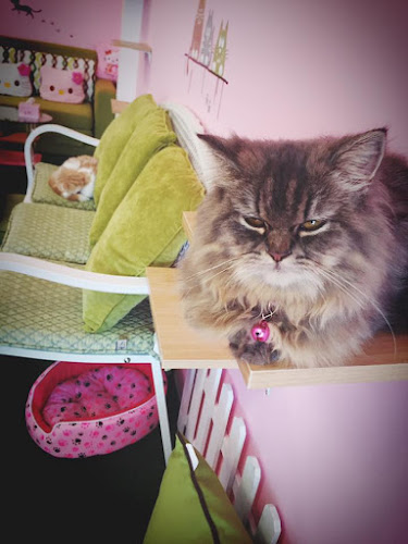 39, 57 ซอย ไสยวน ตำบล ราไวย์ Phuket, ภูเก็ต 83130