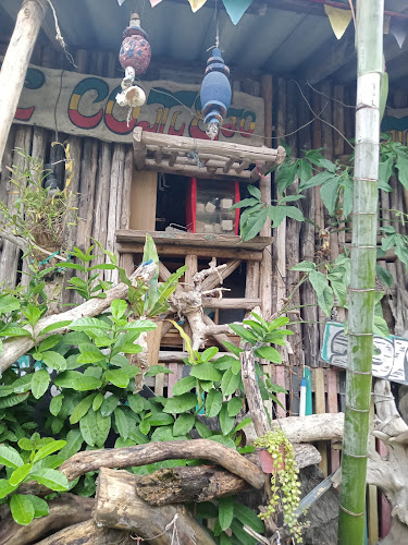 Comentarii opinii despre Marley Bar