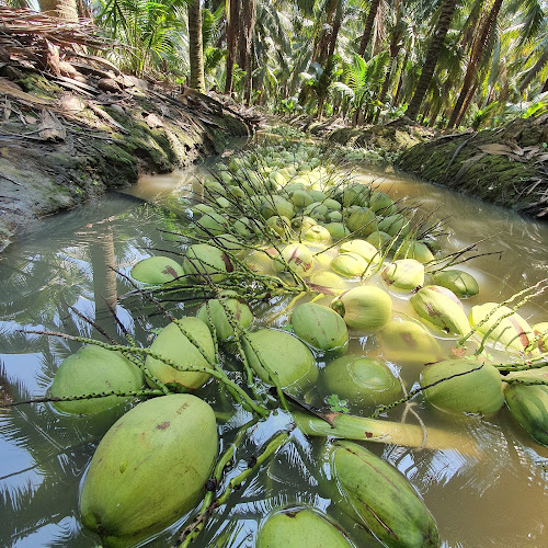 666ม.5 เมืองพัทยา อำเภอบางละมุง ชลบุรี 20150