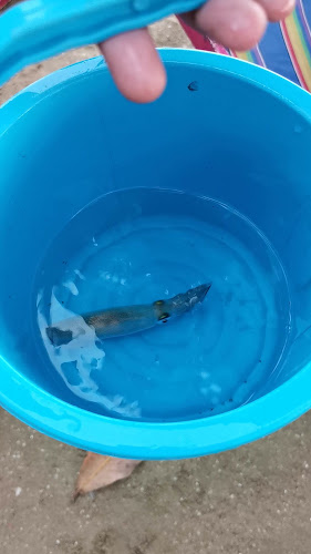 Opinii despre นนท์เตียงผ้าใบชายหาดจอมเทียน în อำเภอบางละมุง - การบริการอาหารและที่พัก