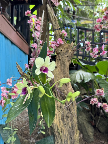 เขาสวนพ่อ KHAO SUAN PHO RESTAURANT - อำเภอเมืองภูเก็ต