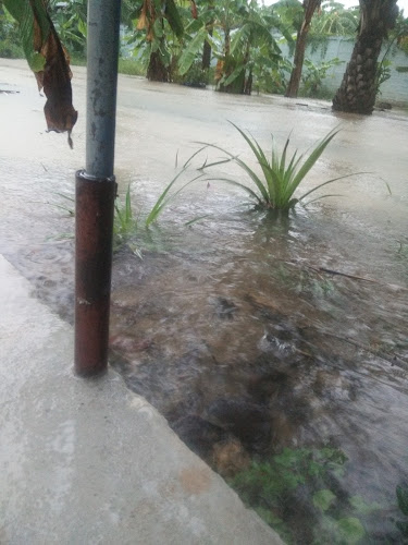 เสี่ยท๊อปบ้านสวน - การบริการอาหารและที่พัก