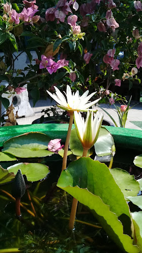 ร้านกาแฟชัยวัฒน์ - การบริการอาหารและที่พัก