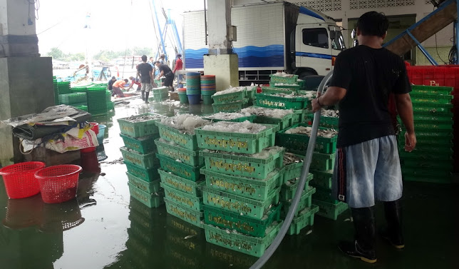 Comentarii opinii despre ท่าเทียบเรือประมงสุราษฎร์ธานี