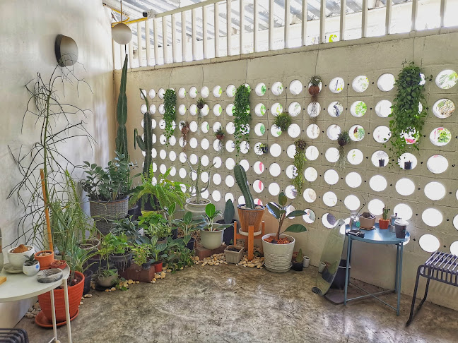 ถนน หน้าวัง ตำบลพระปฐมเจดีย์ อำเภอเมืองนครปฐม นครปฐม 73000