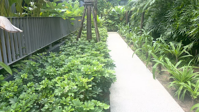 Comentarii opinii despre Stay Green Café