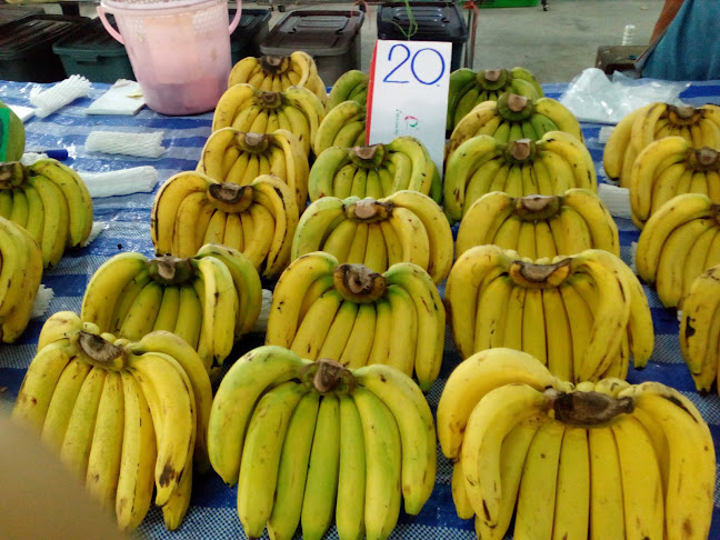 จ๊ะน้อง ร้านผลไม้ตลาดนัดคันทรีโฮม - การบริการอาหารและที่พัก