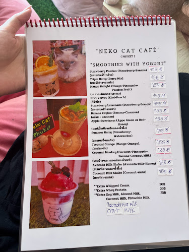 Opinii despre Neko Cat Cafe în Phuket - การบริการอาหารและที่พัก