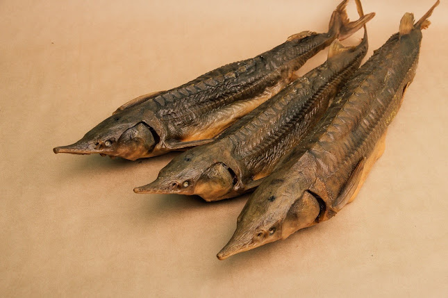 28/47 Wiset Road Soi Moo 1, ตำบล ราไวย์ Phuket, ภูเก็ต 83130