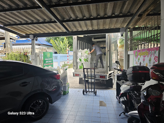 ไผ่ทองพัทยา