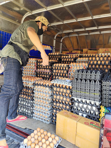 ไก่ต้มน้ำปลากาญจนา - อำเภอบางบัวทอง