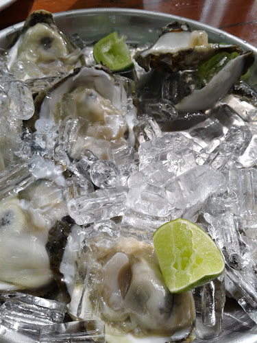 Comentarii opinii despre นิกิต้า