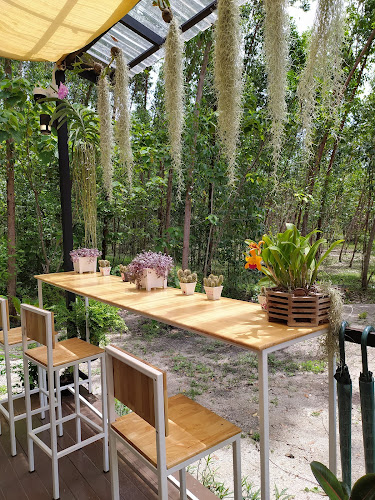 Woodland Cafe' Restaurant & Bar Phuket