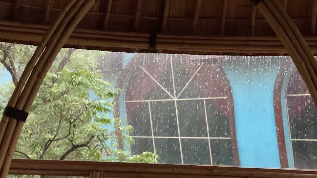 วาวี คอฟฟี่ @ชมจันทร์ เฮือ ฮักมูล