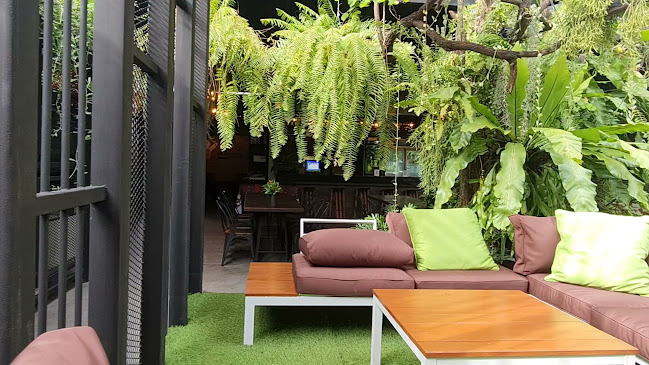 เรนฟอร์เรสคาเฟ่ พัทยา - การบริการอาหารและที่พัก